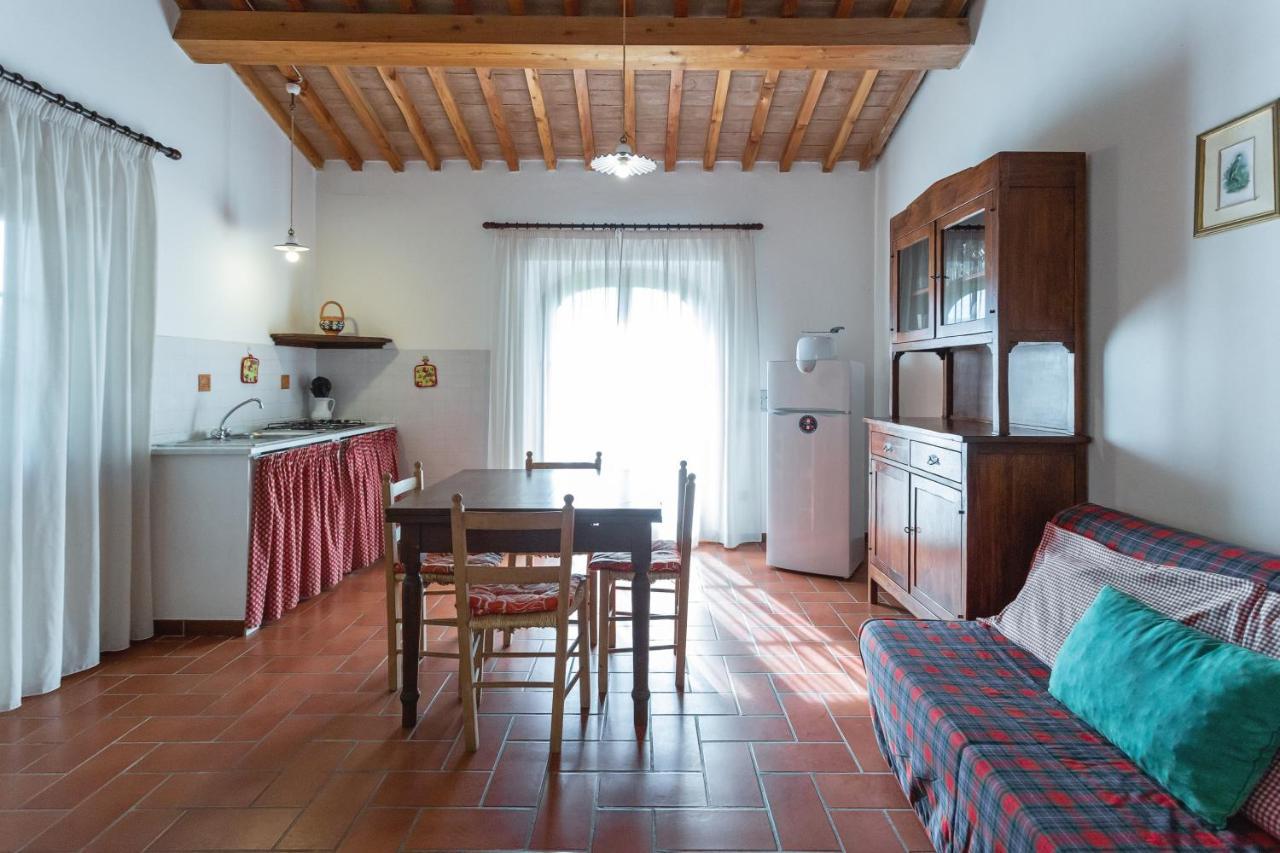 Cottage Il Gabbro Montescudaio Exteriér fotografie
